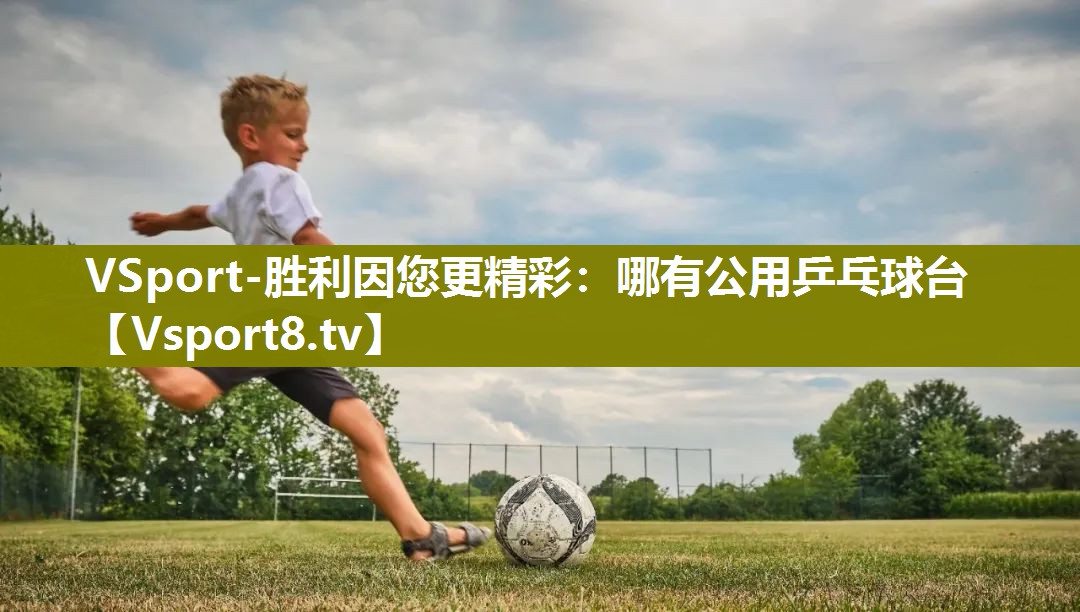 VSport-胜利因您更精彩：哪有公用乒乓球台
