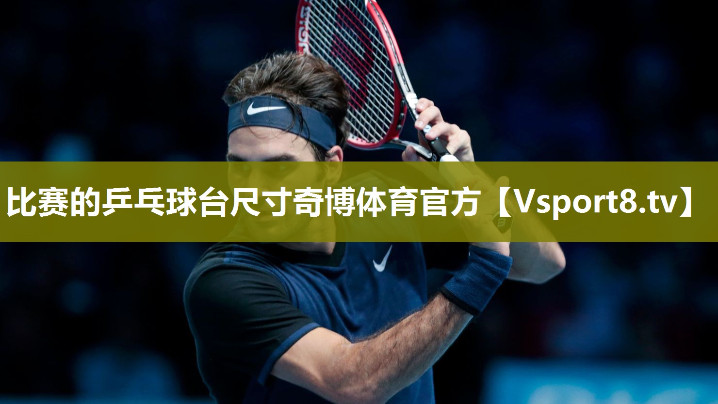 比赛的乒乓球台尺寸奇博体育官方