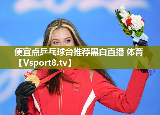 便宜点乒乓球台推荐黑白直播 体育