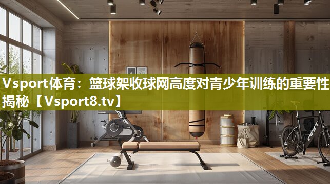 篮球架收球网高度对青少年训练的重要性揭秘