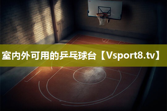 室内外可用的乒乓球台
