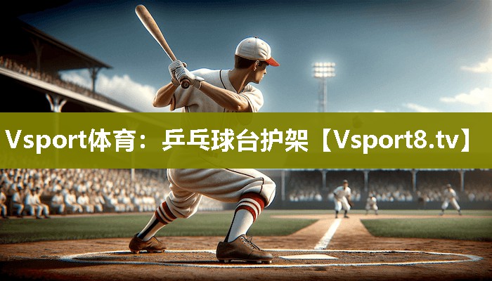 乒乓球台护架