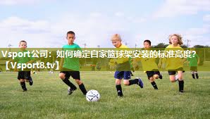 如何确定自家篮球架安装的标准高度？