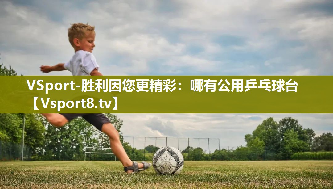 哪有公用乒乓球台