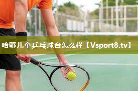 哈野儿童乒乓球台怎么样